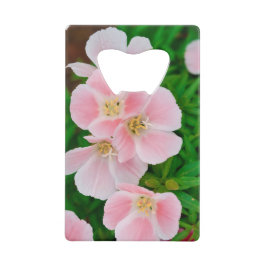 Garten 3 geldkarten flaschenöffner