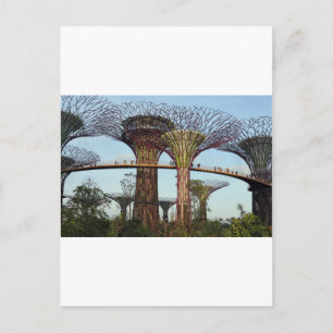 Gärten an der Bucht Singapur Supertree Grove Postkarte