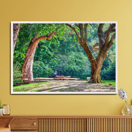 Gärten der Calouste Gulbenkian Stiftung. Fotodruck