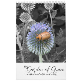 Garten der Gnade: In Schwarz-Weiß und Farbkunst-Ka Kalender