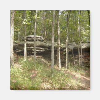 Garten der Götter - Illinois Magnet