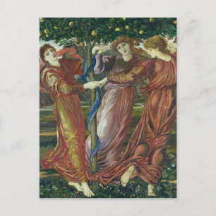 Garten der Hesperiden, 1869-73 Postkarte