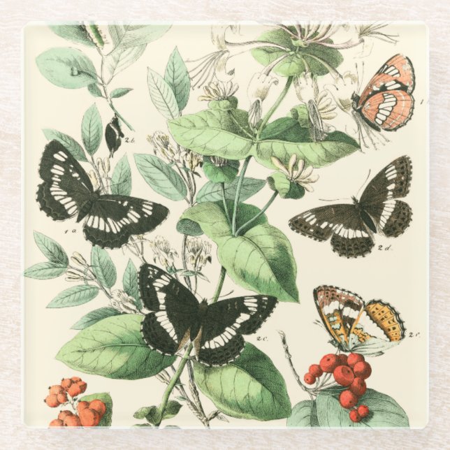 Garten der Schmetterlinge und Blume Glasuntersetzer (Vorderseite)