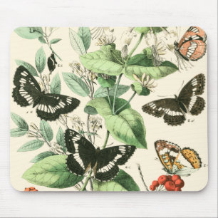 Garten der Schmetterlinge und der Blumen Mousepad