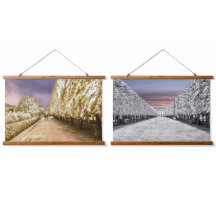 Garten des Palais Royal in Paris