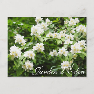 Garten Eden Postkarte