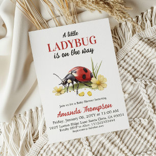 Garten Florale Daisy Eine kleine Marienkäfer Baby Einladung