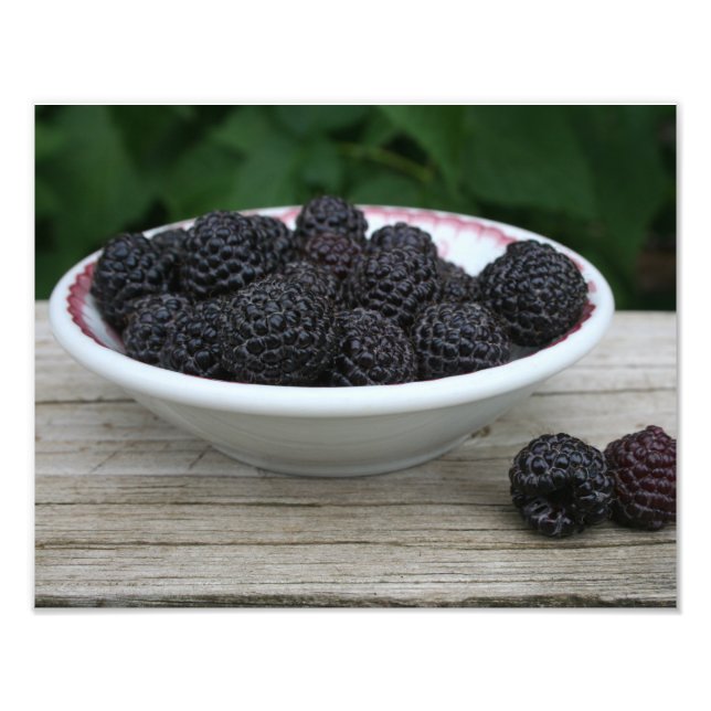 Garten Frische schwarze Himbeeren in Bowl Fotodruck (Vorne)