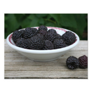Garten-frische schwarze Himbeeren in der Schüssel Fotodruck