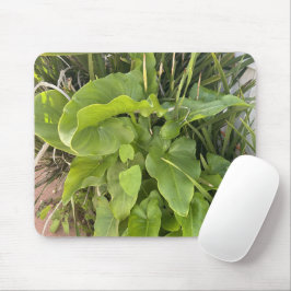Garten Gartenanlage Gartenanlage Gartenanlage Gart Mousepad