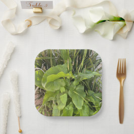 Garten Gartenanlage Gartenanlage Gartenanlage Gart Pappteller