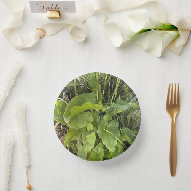 Garten Gartenanlage Gartenanlage Gartenanlage Gart Pappteller (Hochzeit)