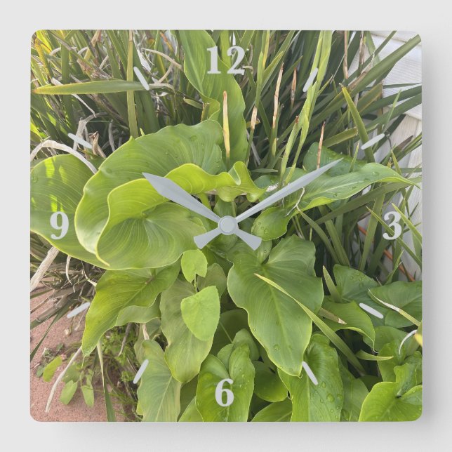 Garten Gartenanlage Gartenanlage Gartenanlage Gart Quadratische Wanduhr (Vorderseite)