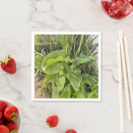 Garten Gartenanlage Gartenanlage Gartenanlage Gart Serviette