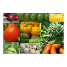 Garten Gemüsegarten