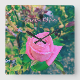 Garten Hier Rosa Rosen Schild Quadratische Wanduhr
