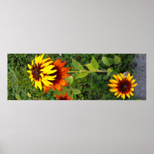 Garten im Sommer Poster