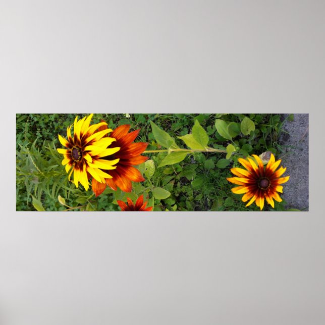 Garten im Sommer Poster (Vorne)