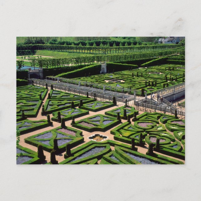 Garten im Villandry Chateau, Indre-et-Loire, Postkarte (Vorderseite)