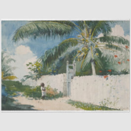 Garten in Nassau (Hauptstadt der Bahamas) Seidenpapier