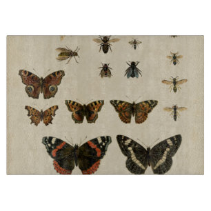 Garten-Insekten durch Visions-Studio Schneidebrett