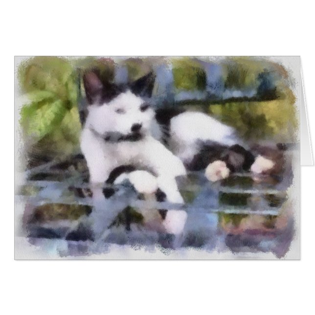 Garten-Katze (Vorderseite (Horizontal))