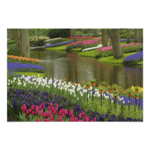 Garten mit Blumen und Blumen, Keukenhof Gardens, Fotodruck