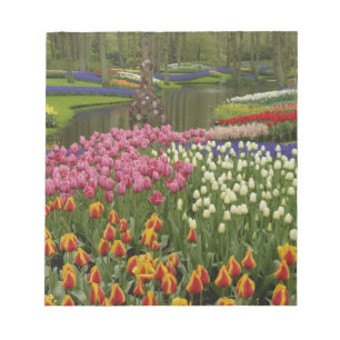 Garten mit Blumen und Blumen, Keukenhof Gardens, Notizblock