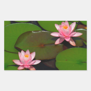 Garten mit Blütenblumen, Rosa Lotus, Rechteckiger Aufkleber