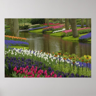 Garten mit Blütenpflanzen, Keukenhof, 2 Poster