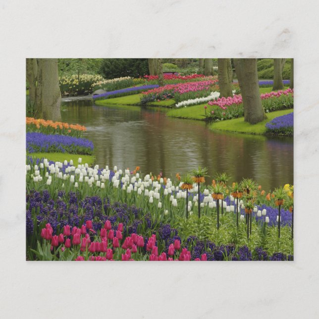 Garten mit Blütenpflanzen, Keukenhof, 2 Postkarte (Vorderseite)