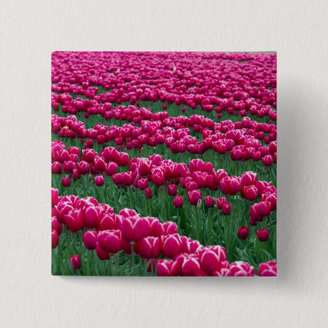 Garten mit Frühlingsblüten-Tulpenzwiebeln in Button (Vorderseite)