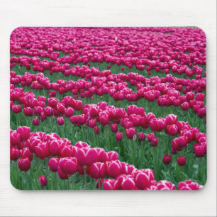 Garten mit Frühlingsblüten-Tulpenzwiebeln in Mousepad
