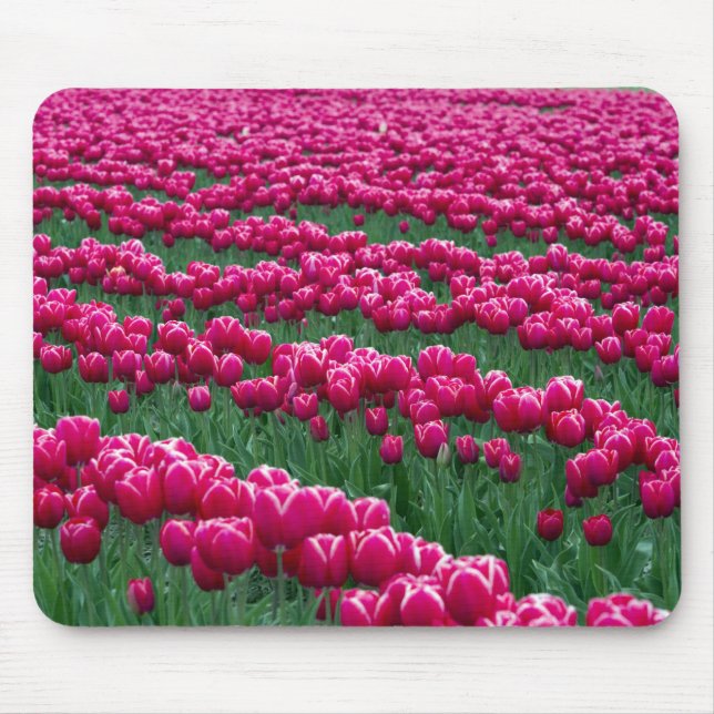 Garten mit Frühlingsblüten-Tulpenzwiebeln in Mousepad (Vorne)