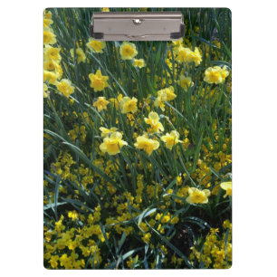 Garten mit gelben Narzissen Klemmbrett