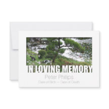 Garten mit Katzen im liebenden Speicher 8 Vorlage