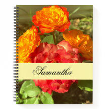 Garten mit orangefarbenen und roten Blumen