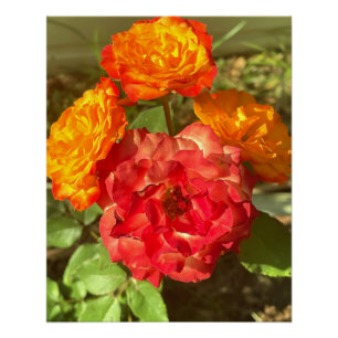 Garten mit orangefarbenen und roten Blumen Poster