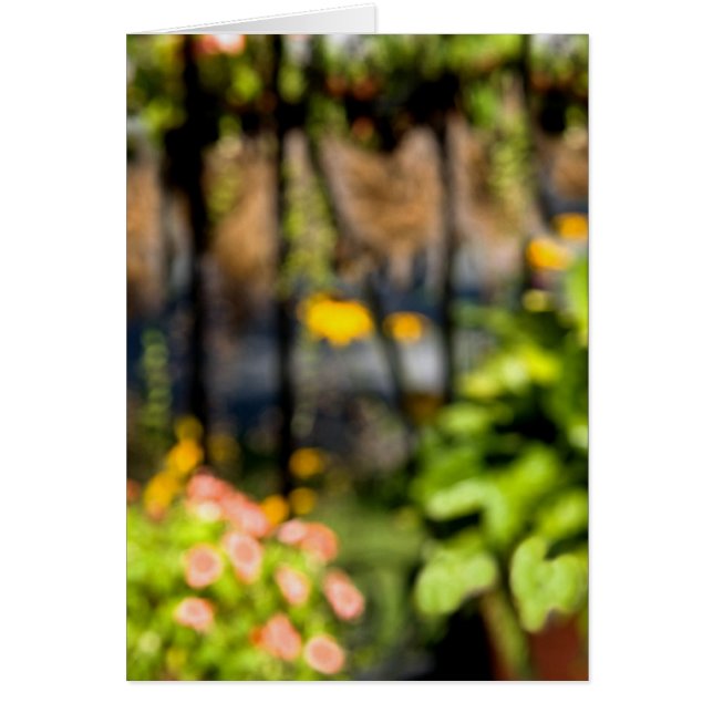 Garten mit Schmiedeeisen (Vorne)