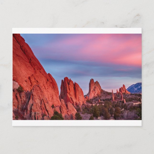 Garten mit Sonnenuntergang Postkarte (Vorderseite)