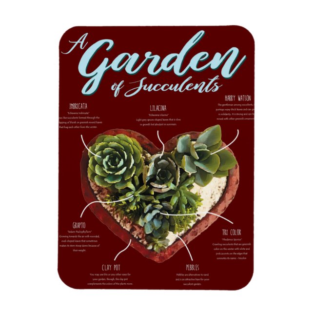 Garten mit Sukkulenten Magnet (Vertikal)