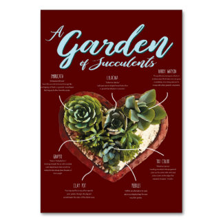 Garten mit Sukkulenten Tischnummer