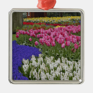 Garten mit Traubenhyazinthen, Hyazinthen und Tulpe Ornament Aus Metall