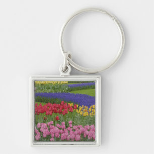 Garten mit Tulpen, Traubenhyazinthen und Schlüsselanhänger