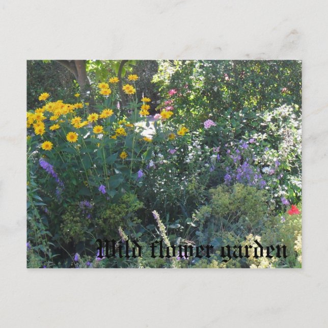 Garten mit wilden Blumen Postkarte (Vorderseite)