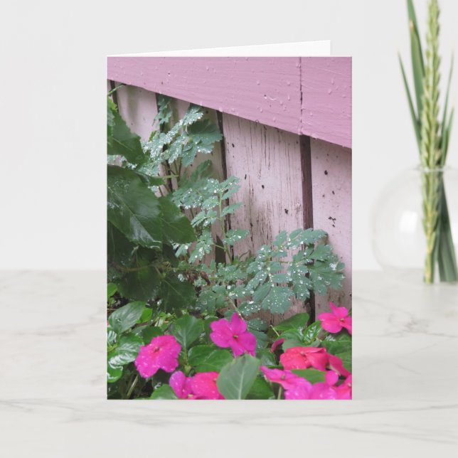 Garten Nach dem Regen - Martha's Vineyard Karte (Vorderseite)