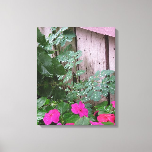 Garten Nach dem Regen - Martha's Vineyard Leinwanddruck (Vorderseite)