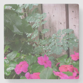 Garten Nach dem Regen - Martha's Vineyard Steinuntersetzer