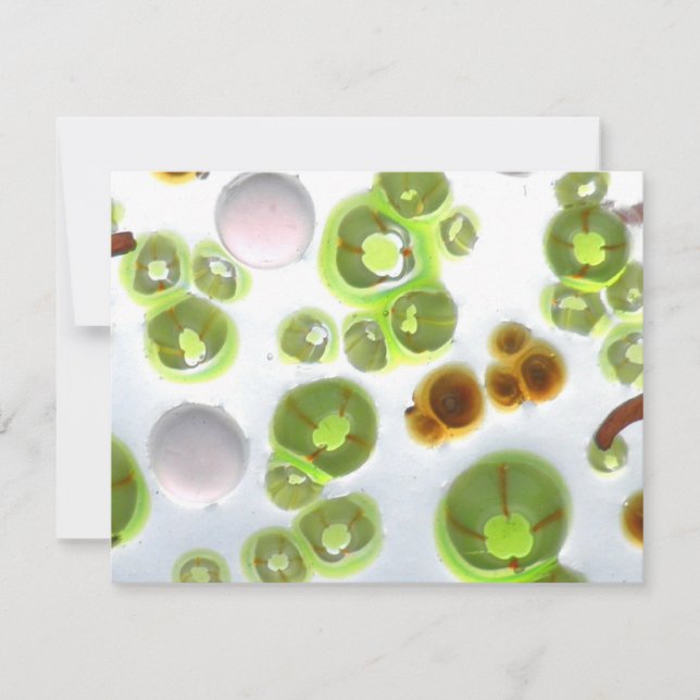 Garten Nr. 10 (Vorderseite)