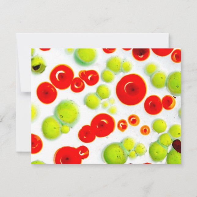 Garten Nr. 5 (Vorderseite)